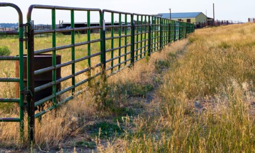 Weidepanel: Die moderne Lösung für eine tiergerechte Tierhaltung